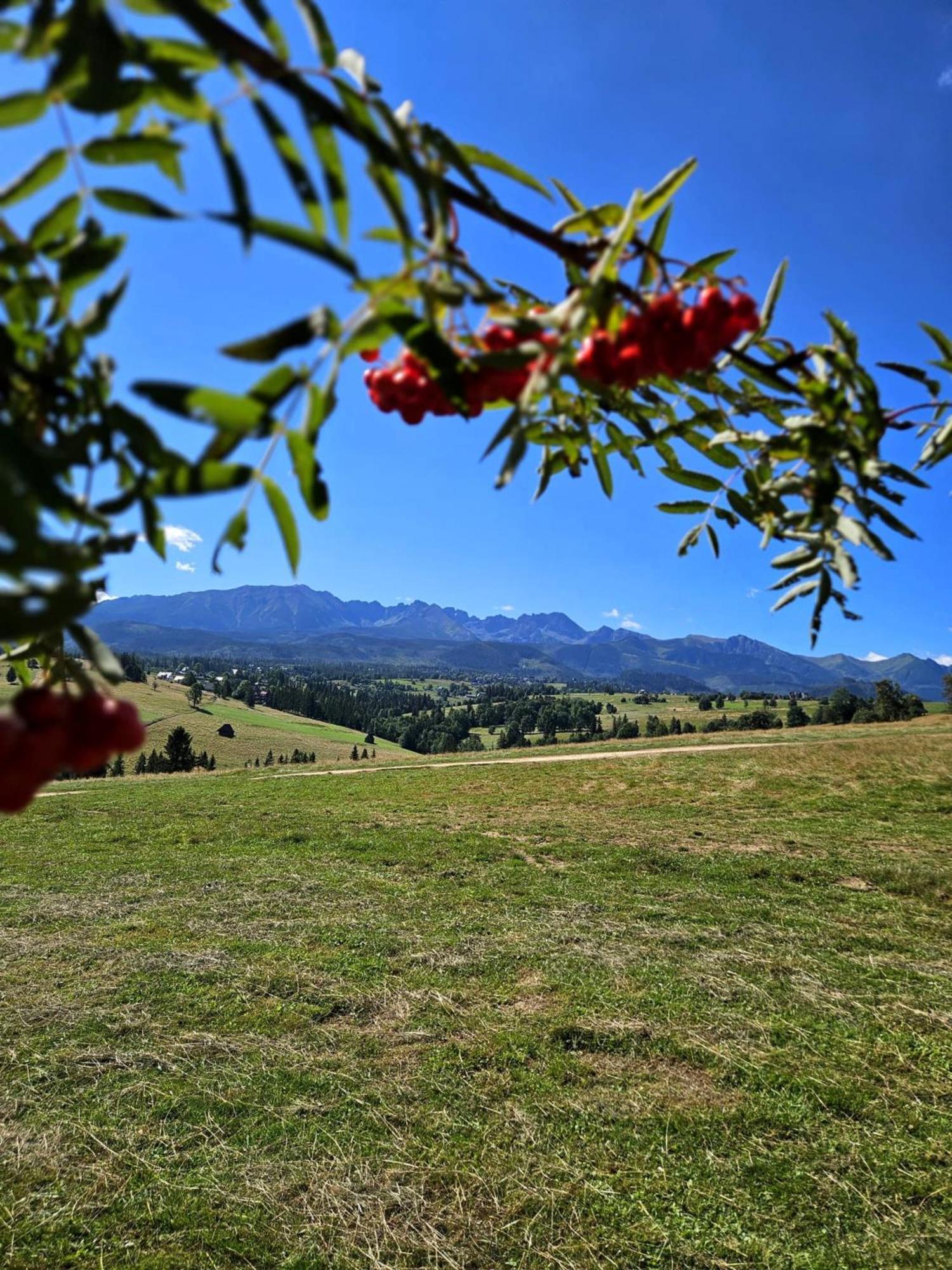 Goralska Chatka 2 Highland Cottage - Split Ac, Jacuzzi, Sauna, Private Parking, Mountains View, Garden, Zakopane Esterno foto