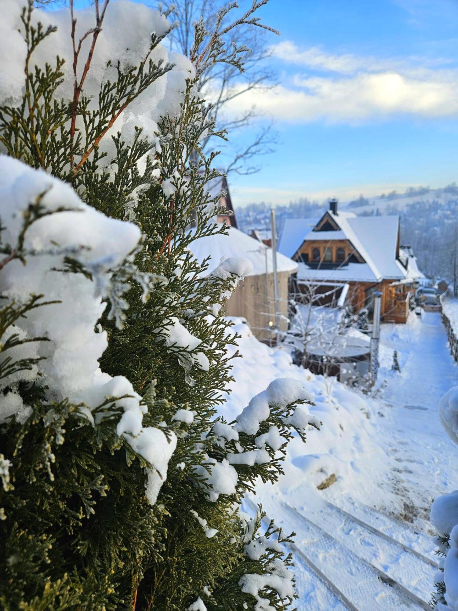 Goralska Chatka 2 Highland Cottage - Split Ac, Jacuzzi, Sauna, Private Parking, Mountains View, Garden, Zakopane Esterno foto